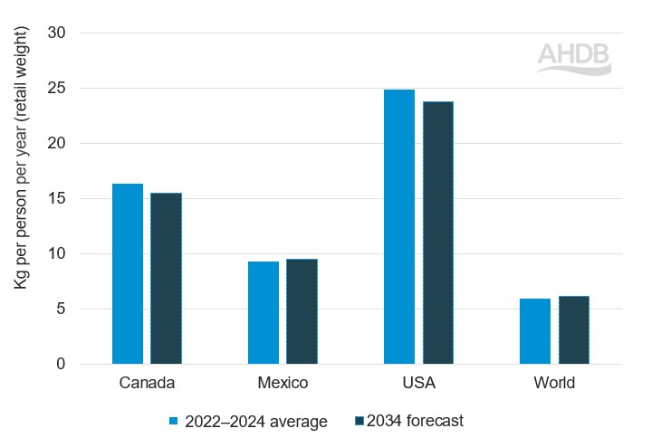 Bar graph showing beef consumption per capita in North America (2022-24 average and 2034 forecast)